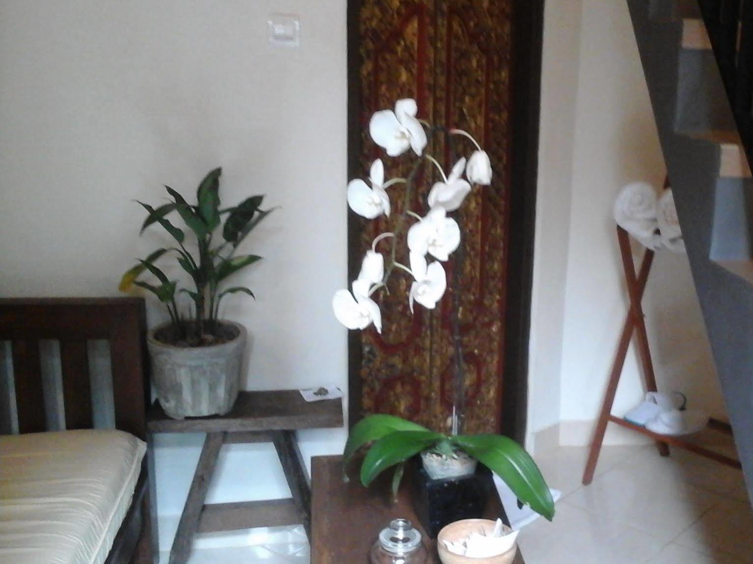 Corner Guest House Ubud Exterior foto